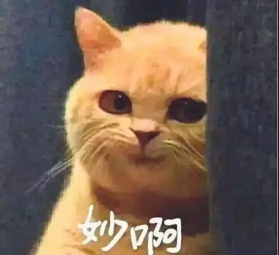 【伪单身是什么心态 如何识别伪单身】图3