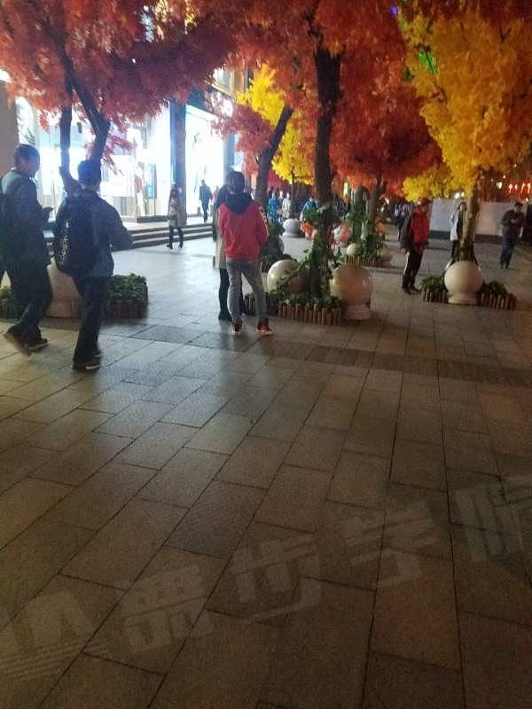 【表达一定要注意,证明自己的最好时机到了】图4