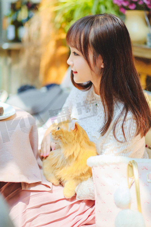 教你如何追求女孩子