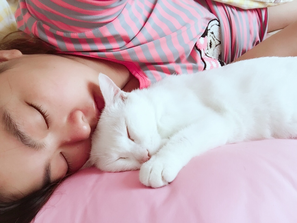 怎么和养猫的妹子聊天？养猫的妹子是什么样的性格