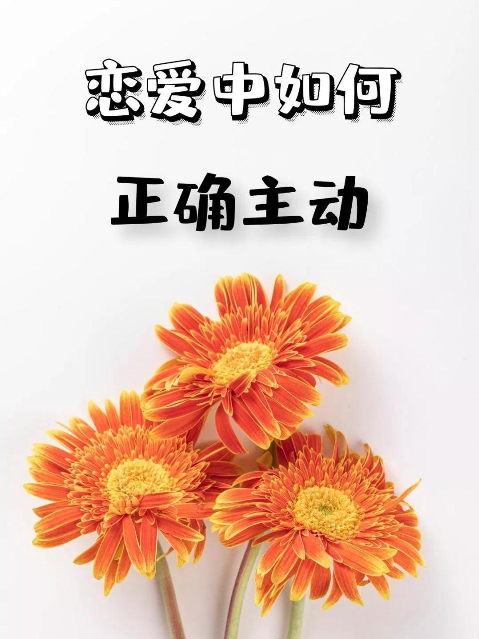 恋爱怎么主动（谈恋爱时应该怎么主动）