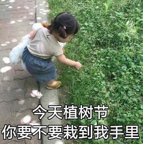 撩妹子的情话套路一问一答（撩女生一问一答的超甜套路情话）