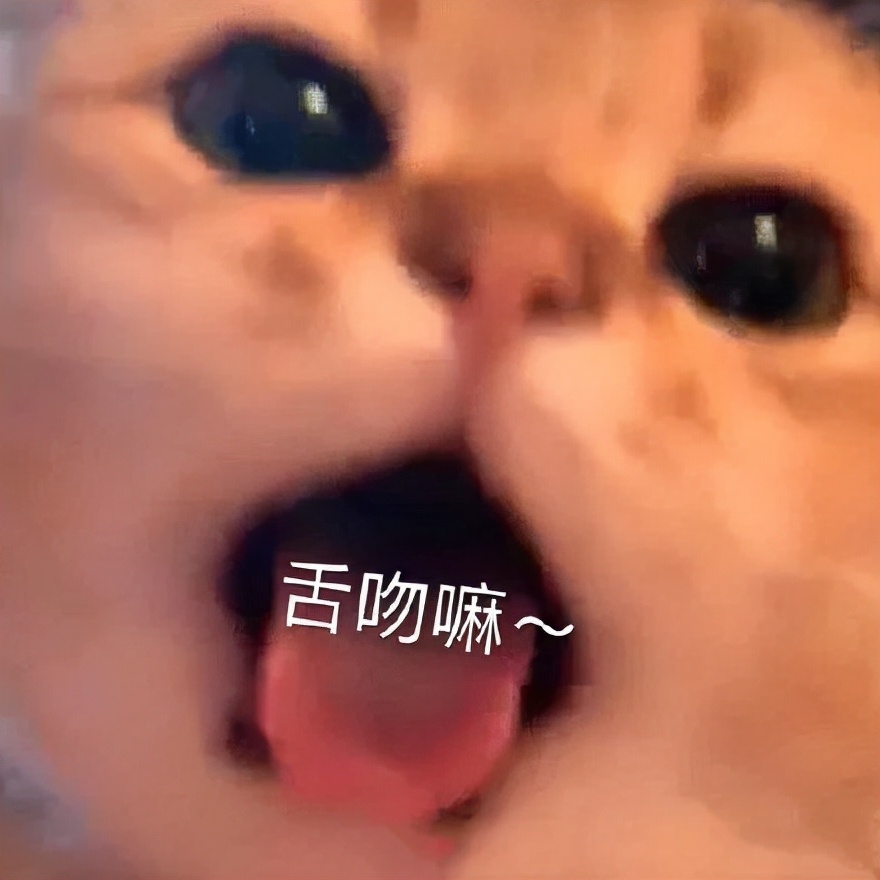 情侣聊天必备表情包（情侣互撩的日常表情包）