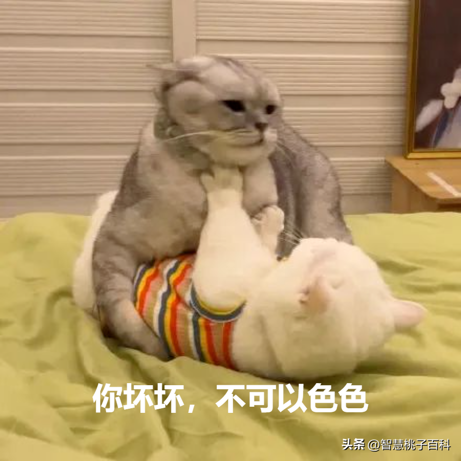 【男生和女生接吻会不会有生理反应】图1