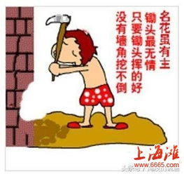 【挖墙脚怎么挖,：如何成功挖墙脚！】图4