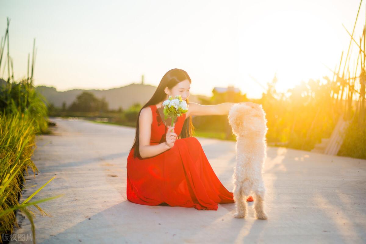 高情商的男人撩妹早安话术，你学到了吗？(高情商男人撩中年女人发微信早安)